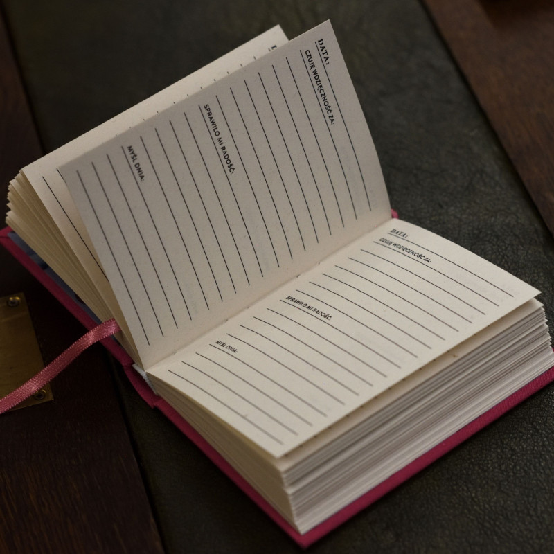 Dziennik wdzięczności Śliwka